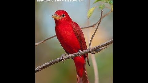 Part 7 - CH1 - VMware vSphere 8.x Virtual Infra  vCenter Server 8 Installation as a nested VM.