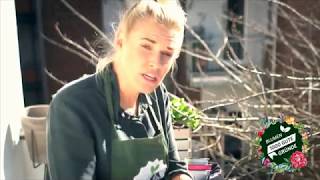 Mini-Stadtbalkon Im Blühenden Frühlingslook - So Pflanzt Der Profi