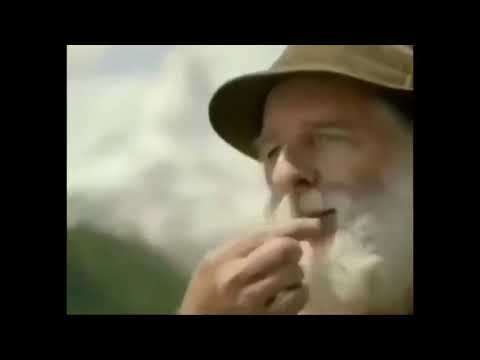 KONTOL BAPAK KAU PECAH🤣