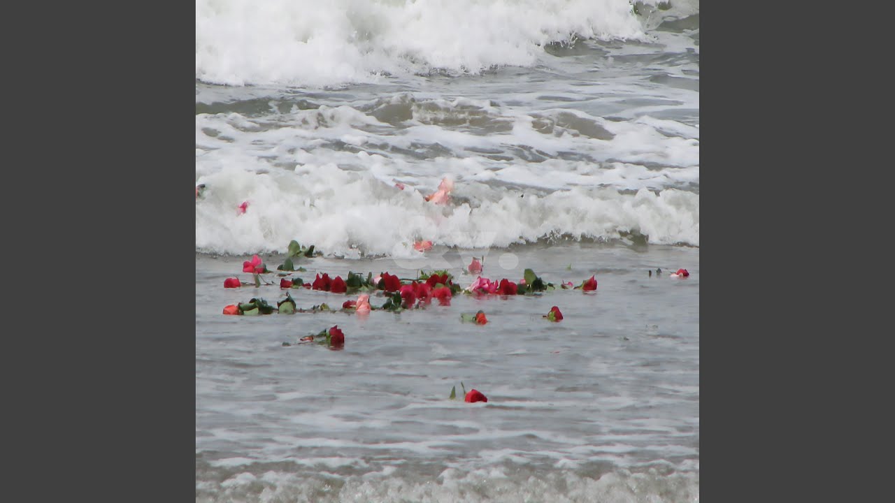 Watch champagne. on YouTube Watch champagne. on YouTube