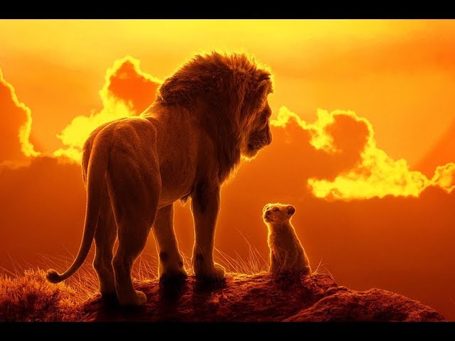 Simba And Mufasa Edit