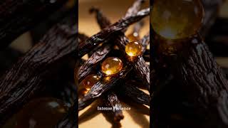 Exotic Clove 50ml Unisex Luxury Fragrance 16 Plus Hours Oud Wood Elegance