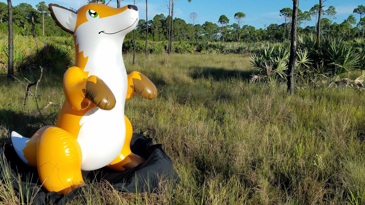 Cute Cuddly Fox Inflatable from Puffy Paws Toys - YouTube