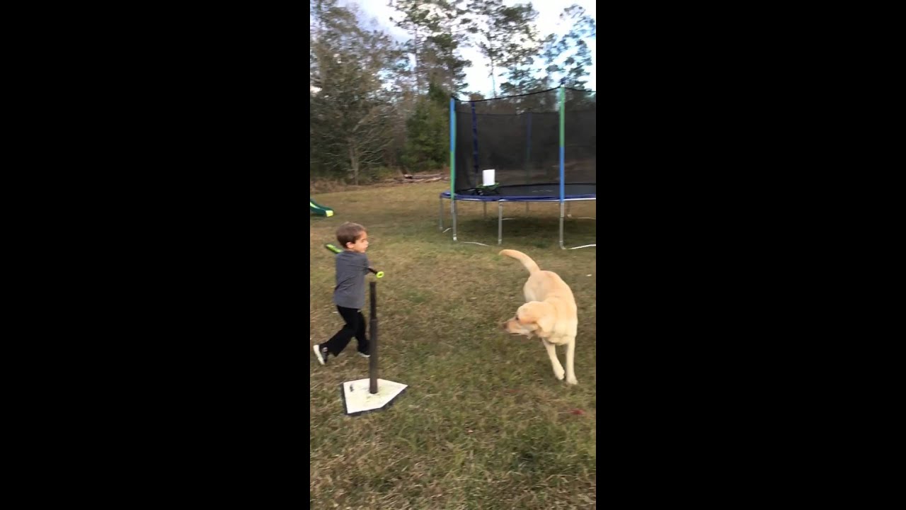 T ball slow motion YouTube