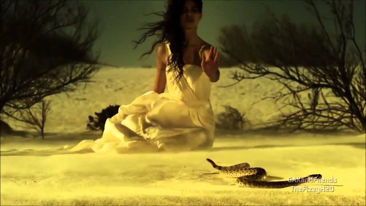 Musical Wanderer   The Voice of the Planet