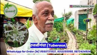 100  Rare Exotic Plants Collection 😱 All India Shipping Available 😲🪴 Part-01