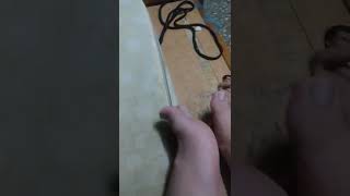 Giant Playing With His Little Friends Feet