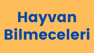 Bilmeceler. Hayvan Bilmeceleri. Bilmece. Komik Bilmeceler