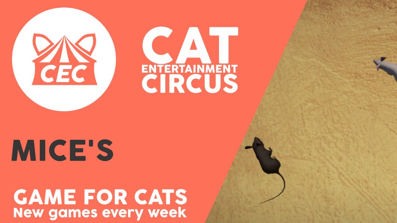 CAT GAMES 4K 2022- 40 Minutes with squeaky mouse sounds