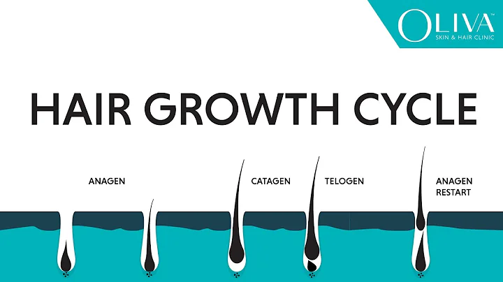 Natural Hair Growth Cycle: Explainer Video On Anagen, Catagen & Telogen Phases - DayDayNews