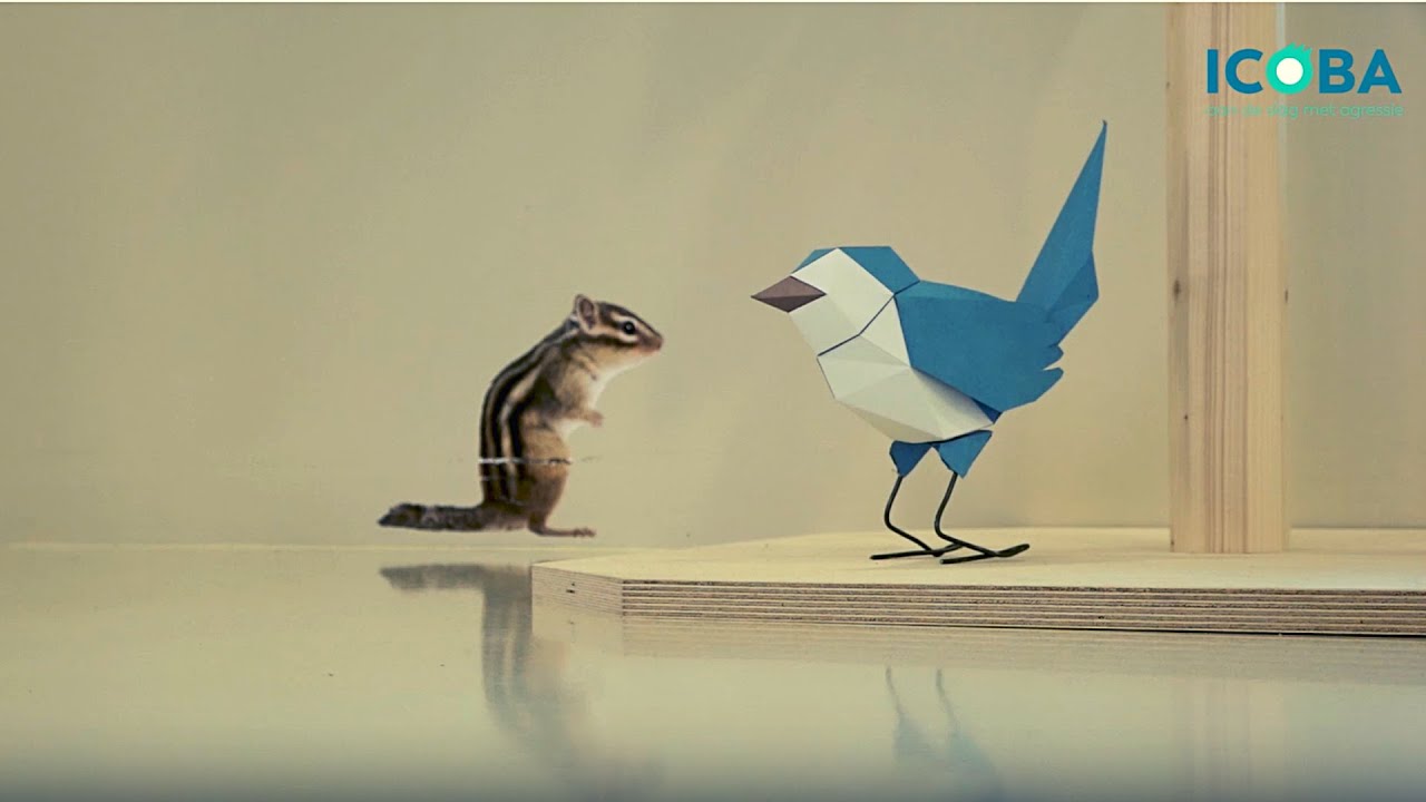 De Rustbox in KPC Genk