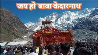 जय हो बाबा केदारनाथ | Kedarnath Temple Live | Kedarnath Dham Yatra | ॐ नमः शिवाय #kedarnath