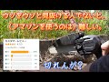 【40代無職バツイチ家を買う#24】アマゾンのサクラレビューに釣られてクソみたいな商品買っちゃう男
