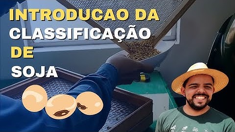 INTRODUÇÃO da CLASSIFICAÇÃO de SOJA #agro #classificacao #agricultura