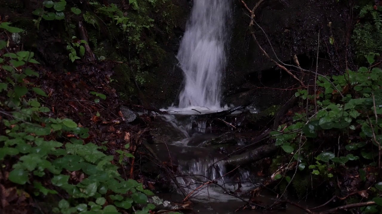 - HeartVod