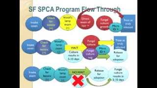 Ringworm Roundup 1: Overview - conference recording
