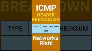 ICMP Header Explained in Hindi – Byte-by-Byte Breakdown #shorts #icmp #ccna #protocol #networksrishi