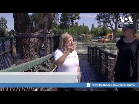 დედის მიერ მოწყობილი ადაპტირებული საბავშვო მოედანი