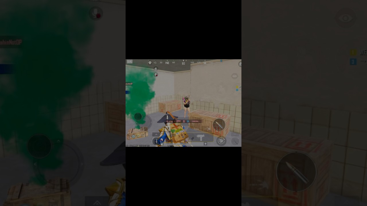 Teammate Revenge🔪 