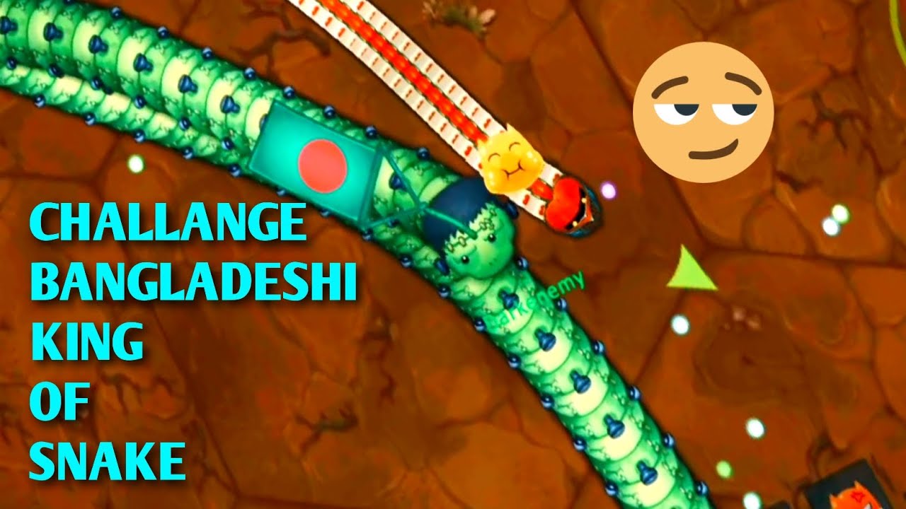 My Royal Guard Challenge The Bangladeshi King Of Snake 😎🔥😍 || Little Big Snake ||