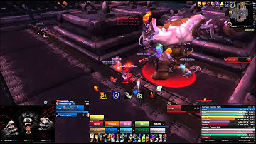 Laetus Domus vs. Hans