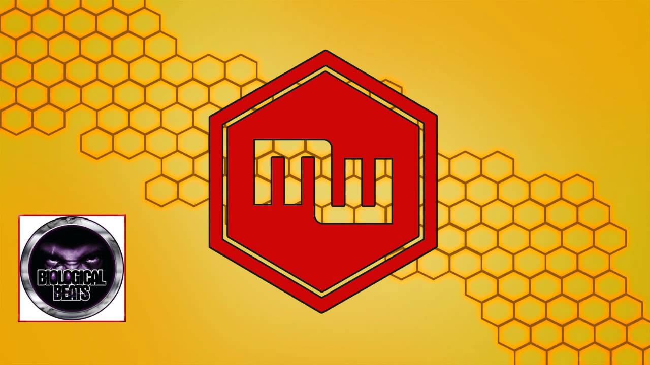 DJ Limited - The Beginning EP (Biological Beats)