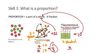 6int 11a Proportion