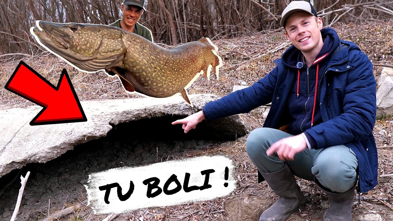 Tu som chytil OBROVSKÉ ŠŤUKY ! Liptovská Mara 😱 dno Mary bez vody - nízka hladina