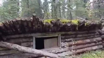 Nordegg Old abandoned trapper cabin deep in the woods rocky mountain house alberta 