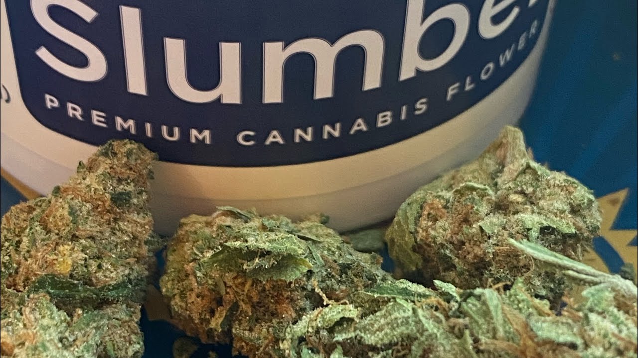 Slumber | Chocolate OG