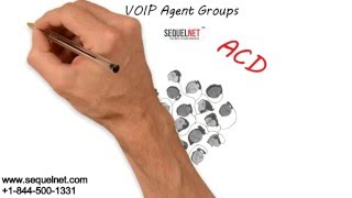 SequelNet Agent Group FAQs Wealth