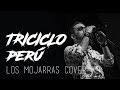 Jose Gaona - Triciclo Perú (Los Mojarras Perú Cover)