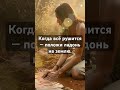 СЕРДЦЕ ЗЕМЛИ — музыка покоя и заземления