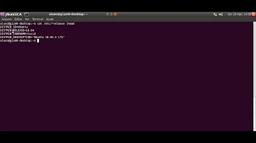 Como eu faço para descobrir qual a distribuição do Linux que estou usando na minha máquina ou nesta do curso?