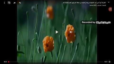 القارئ ابوانس عبدالحفيظ شريعه
