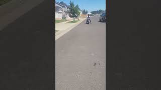 Its always a fun thing when a person is riding around on a street illegal motorcycle. @ultraverbaluxmentis