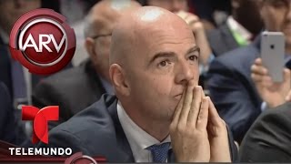 FIFA elige a Gianni Infantino como nuevo presidente | Al Rojo Vivo | Telemundo