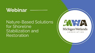 Nature-Based Solutions for Shoreline Stabilization and Restoration