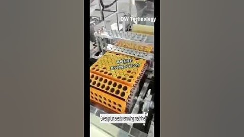 Green plum seeds removing machine fruit seeds stone core removing machine