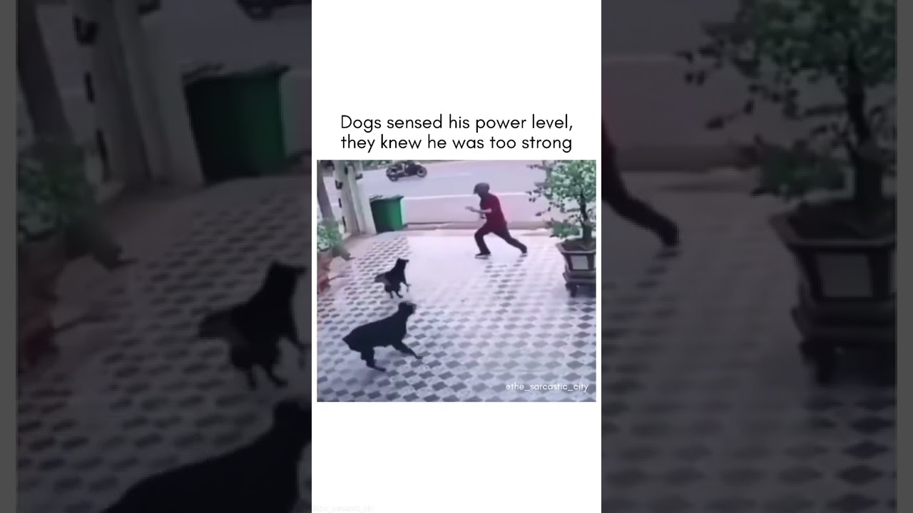 how to self defense from dogs😱...