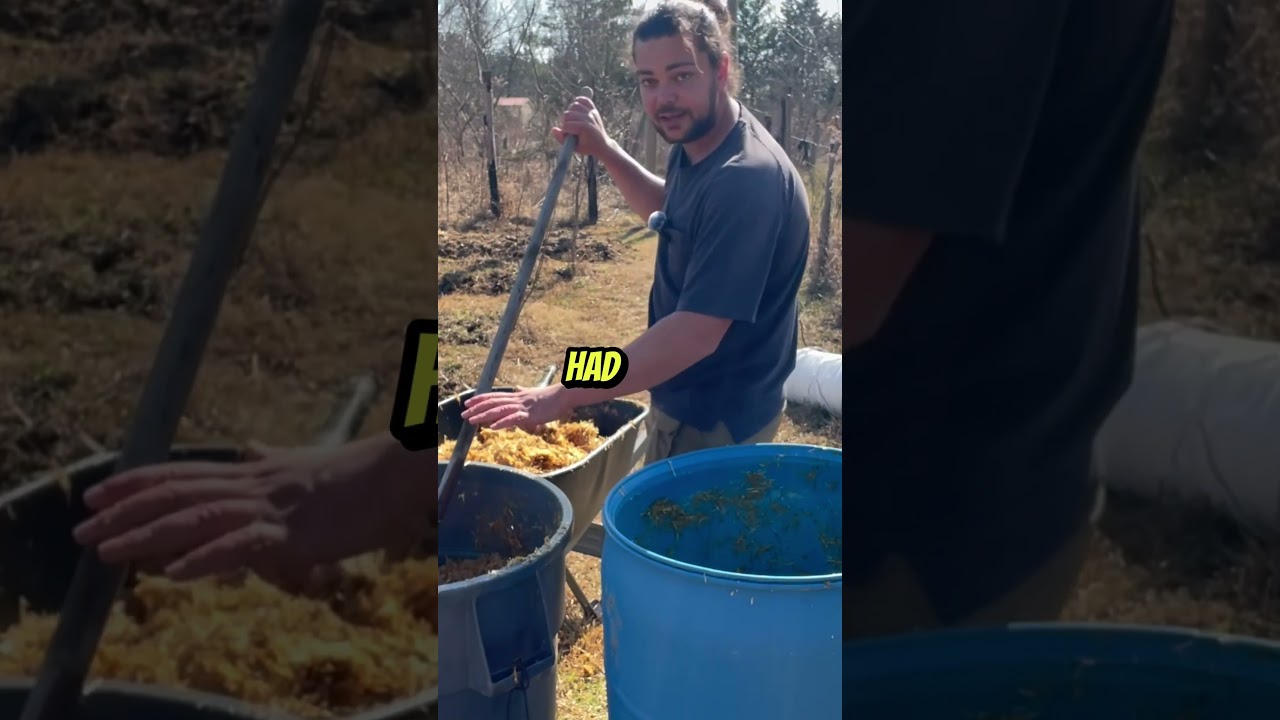 Сделайте ЭТО в первую очередь! 