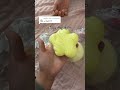 سكوشي شي ان 6🫠💖