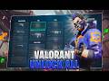 Valorant Unlock All 2026 🔓 INSANE Skin Changer Tool (Undetected)