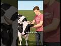 This Simple Trick Can INCREASE Milk Production By 50% ⏫