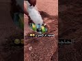 الحاجه ام الاختراع