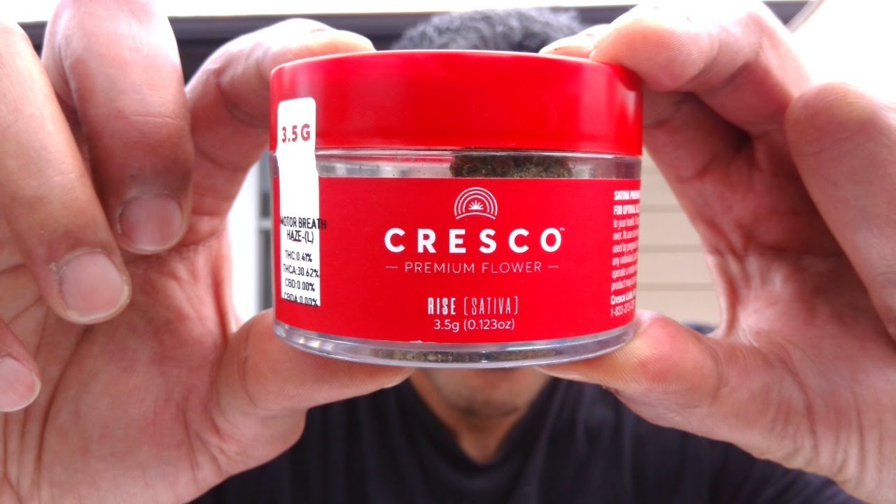 Strain Review MOTOR BREATH HAZE By CRESCO (CHICAGOLAND) YouTube