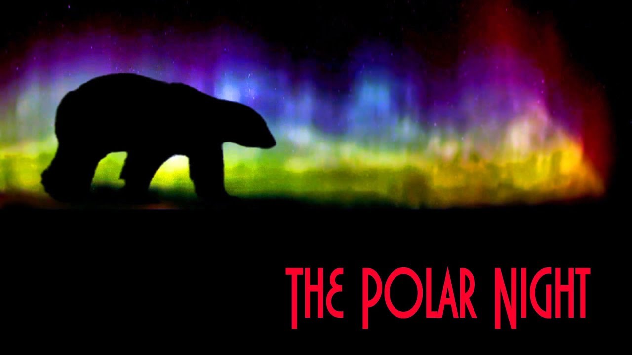 The polar night stock footage hd