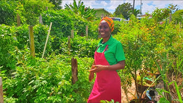 RESILIENT ROOTS: FARMING BEYOND LIMITS