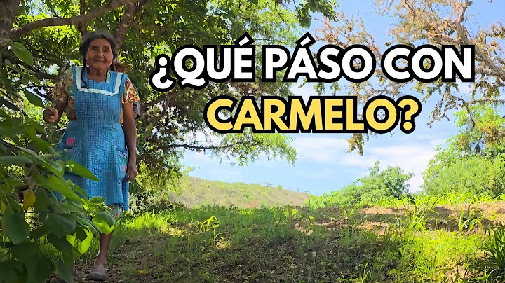 ¿Qué pasó con Carmelo ?