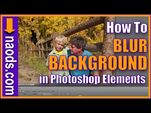 How to BLUR the BACKGROUND in Photoshop Elements Digital Scrapbooking and Photo Editing How to BLUR the BACKGROUND in Photoshop Elements Digital Scrapbooking and Photo Editing